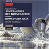 Peter Iljitsch Tschaikowsky Schwanensee/Nussknacker/+ (CD)