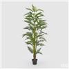 Enzo De Gasperi EDG Enzo De Gasperi Pianta Palma Areca con Vaso H200 cm
