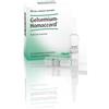 GUNA SpA Gelsemium homac 10f 1,1ml heel - Guna - 909469381