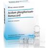 GUNA SpA Phosphoricum ac homac 10f heel - Guna - 909469140