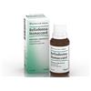 BIOLOGISCHE HEILM. HEEL GMBH Belladonna homaccord*gtt 30ml - BIOLOGISCHE HEILM. HEEL - 046262010
