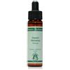 NATUR Srl Bear grass 10ml - - 912265459