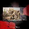 Showcase Lab 🇮🇹 TECA LS388 | PER SET LEGO® 77985 | FOSSILI DI DINOSAURO: TRICERATOPO