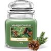 Yankee Candle Candela Profumata | Barattolo Medio Balsam & Cedar | Candele a Lunga Durata: fino a 75 Ore | Regali di Natale Perfetti per Donne