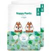 by Amazon, Pannolini Mutandina Disney, Taglia 6 (Oltre i 15kg), 120 Pezzi (2 Confezioni da 60), Bianchi, Confezione Mensile (in Precedenza del Marchio Mama Bear, Stesso Prodotto)