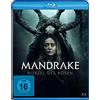 Lighthouse Home Entertainment Mandrake - Wurzel des Bösen [Blu-ray]