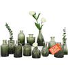 Avilia - Set 12 Vasi in Vetro Assortiti, vasi per piante da interno per Decorazioni Floreali e Centrotavola, Design Elegante con Forme Diverse, Ideali per Fiori Freschi, Secchi o Artificiali