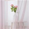 MIULEE Tende 2 Pannelli Trasparenti in Voile con Passanti Morbidi Finestre per Camera da Letto e Soggiorno 140X215 CM Rosa Chiaro
