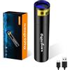 DARKDAWN Torcia UV 365nm Ricaricabile USB, LED Lampada di Wood Torce Ultravioletti Filtrato Luce Nera, Mini Potente Portatile Lampada UV 370nm per Ambra, Documento, Resin, Rivelatore di Urina per Cani