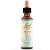 SCHWABE PHARMA ITALIA BEECH BACH ORIG 20ML - SCHWABE PHARMA ITALIA - 942859137