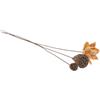 DOITOOL Composizione e Look Naturale di Loto Blu Essiccato Fiore Secco Naturale senza Manutenzione , Stile Cinese Elegante per Decorazioni Tavolo e Ufficio