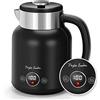 Taylor Swoden Asher - Bollitore elettrico inossidabile, 2200 W, 1,7 L, Bollitore elettrico con temperatura regolabile, mantenimento in caldo di 1 ora, BPA FREE