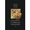 Matthias Beck Et Al A First Course in Complex Analysis (Tascabile)