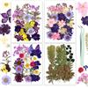 Resiners Fiori Secchi, Resiners 100 Pezzi Fiori Pressati per Resina, Sapone, Candele, Forniture per Scrapbook, Carta, Kit di Foglie Secche Naturali Viola per Realizzare Gioielli e Decorazioni Fai-da-Te