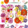 Resiners 58Pcs secchi fiori pressati per stampi in resina, Rosa veri fiori pressati kit foglie secche per artigianato in resina gioielli fare scrapbook supplies carta fare sapone candela fai da te