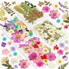 Resiners 100Pcs fiori pressati per stampi in resina, veri fiori pressati kit foglie secche per artigianato in resina gioielli fare scrapbook supplies carta fare