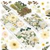 Resiners 100Pcs secchi fiori pressati per stampi in resina, bianco veri fiori pressati kit foglie secche per artigianato in resina gioielli fare scrapbook supplies carta fare sapone candela fai da te