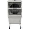 Fral EVC 80 - Raffrescatore Evaporativo 8000 m³/h