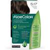 ZUCCARI Srl ALOECOLOR 5.17 CAST CHI NOCE