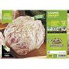 le Georgiche Vivai le Georgiche - Cicoria e Radicchio variegato di Lusia precoce Galileo F1 - 1 Plateaux da 9 piantine