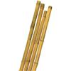 EffeDecor Tutori di Sostegno in Canna di Bambù Set 10 Pz Paletti Cannette Sostegno per Piante,Ortaggi,Rampicanti,Colture Varie Altezze e Spessori (H 180 cm - Ø26÷28 mm)