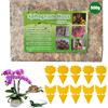 Foreverup Muschio di Sfagno, Naturale Sfagno, Garden Sphagnum Moss Moisturizing, Sfagno Terriccio per Orchidee Terriccio Bonsai Sfagno per orchidee, phalaenopsis
