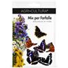 AGRI-CULTURA® | Mix per Farfalle | Miscuglio di Semi con 25 Varietà di Fiori Nettariferi | Attira Farfalle, Api e Insetti Impollinatori | Ideale per Giardino, Aiuole, Prati Fioriti e Vasi.