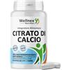 Wellnex Nutrition Calcio Citrato 500 mg, 90 Capsule Vegetali, 315 mg Calcio Elementare per Dose, Integratore Calcio Ossa Denti Muscoli, Senza Glutine e Lattosio