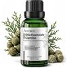 AMYRON Olio Essenziale di Cipresso 30 ml AMYRON | Cupressus Sempervirens | 100% Puro e Naturale | Aroma Fresco e Legnoso Per Diffusore E Aromaterapia E Ambiente | Massaggi | Flacone Vetro Scuro