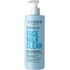 GYADA COSMETICS, Latte Detergente Struccante Delicato Viso Avocado Argan Jojoba, 400ml