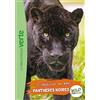 Hachette Jeunesse Expédition au pays des panthères noires: 15