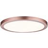 Paulmann 70872 Lampada da Soffitto Atria, Rotonda, 22 W, Luce 2700 K, Luce Bianca Calda, Pannello Led a Intensità Variabile, Per Montaggio a Parete O a Soffitto, In Plastica