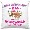 Vulfire Cuscino Zia Speciale, Idea Regalo di Compleanno Originale, Frase Divertente, Non disturbare Zia in ricarica Divano Letto - con Imbottitura (40_x_40_cm, Zia)