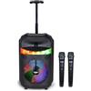 Bontempi | Cassa Trolley Acustica Wireless con 2 Microfoni Senza Filo, Luci RGB, Telecomando, Display, Funzione TWS, 39.5x22.5x19 cm