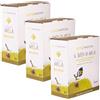 Gustonatura Succo di mela BIO - senza zuccheri aggiunti (3 x Bag in box 3lt)