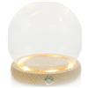 WESIEVYA Cupola in Vetro Trasparente Fiori Eterni e Base Luminosa in Legno, Decorazione Elegante la Casa Lavorazione Raffinata e Forte Senso Artistico