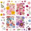Rokahebi 100 Stück Set di Fiori Essiccati - Fiori Pressati & Fiori Secchi Veri, Naturali per Fai Da Te, Resina DIY, Gioielli, Candele, Saponi, Scrapbooking, Carte & Decorazioni, Colorati Misti