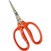 近正 Stainless steel Grape Scissors B-500S