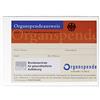 DURABLE 213419 - Buste portadocumenti, f.to A7, 74x105 mm, trasparente, confezione da 10 pezzi