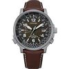 Citizen Analogico CB0240-29X