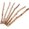 PRETYZOOM 6 Pezzi Bastoncini di Legno Naturale 40cm per Decorazioni | Rami Secchi Beige, per Vasi e Composizioni Floreali, Accessori Artigianali Fai da Uso Rustico