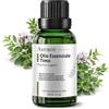 AMYRON Olio Essenziale Timo Rosso 30 ml AMYRON | Timo Timolo | Timus Vulgaris | Naturale E Puro Al 100% Ideale Per Diffusore Oli Essenziali | Massaggi Aromatici | Uso Alimentare.