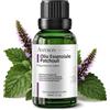 AMYRON Olio Essenziale 30ml Naturale E Puro Al 100% Ideale Per Aromaterapia E Diffusore Oli Essenziali/Massaggi aromatici/Uso Alimentare. (patchouli)