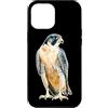 Urban Empyre Custodia per iPhone 12 Pro Max Falco pellegrino in piedi