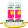 Ralertreik Gas refrigerante Gasica C10 Compatibile con R32 R410A Valvola inclusa (2 Bottiglie + Tubo + Adattatore)