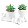 Der Rose Set di 2 piante grasse artificiali per ufficio, scrivania, bagno, casa, stanza, decorazione estetica per interni