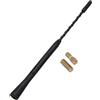 Hperu Antenna per Auto, Antenna Radio in Gomma Flessibile per Tetto Stile puntura d'Ape