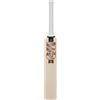 Gunn & Moore GM Rival, mini mazza da cricket in legno in miniatura, perfetta per autografi dei giocatori, area del viso 25 x 5,5 cm, manico 13 x 2,2 cm Gunn & Moore