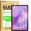 GOZOPO Pellicola Protettiva per Lenovo Idea Tab 2025 Tablet 11