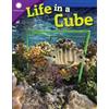 Seth Rogers Life in a Cube (Tascabile) Smithsonian: Informational Text
